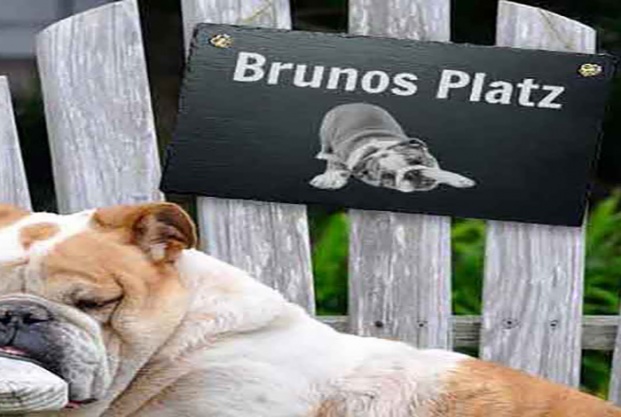 Türschild mit Hund